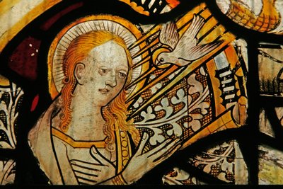 La Vergine Maria all