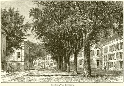 The Elms, Università di Yale da English School