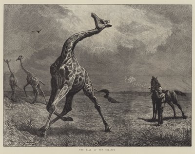 La caduta della giraffa da English School