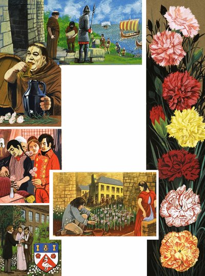 I fiori che sbocciano: Garofani luminosi da English School
