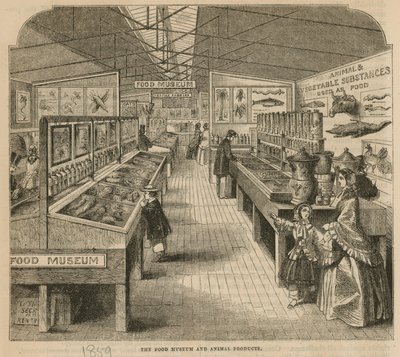 Il Museo del Cibo e dei Prodotti Animali, Museo di South Kensington da English School
