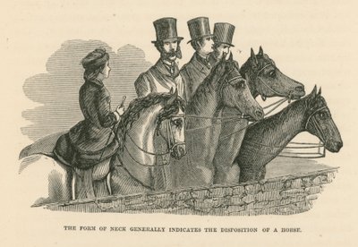 La forma del collo indica generalmente la disposizione del cavallo (incisione) da English School