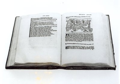 La volpe e l