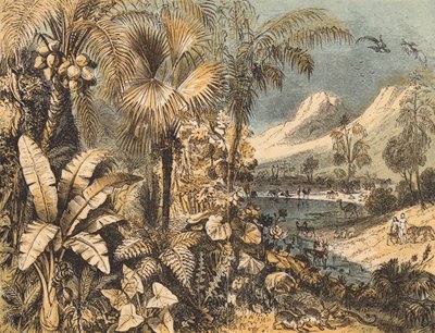 Il Giardino dell