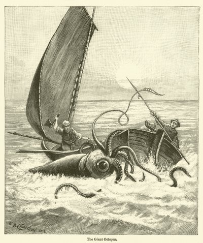 Il Polpo Gigante da English School