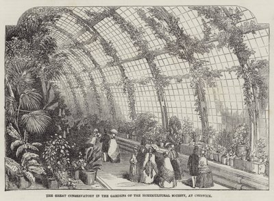 La grande serra nei giardini della Società orticola, a Chiswick (incisione) da English School