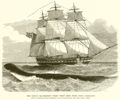 Il grande serpente marino visto per la prima volta dalla H.M.S. Daedalus da English School