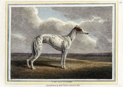 Il Levriero, pub. 1812 da English School