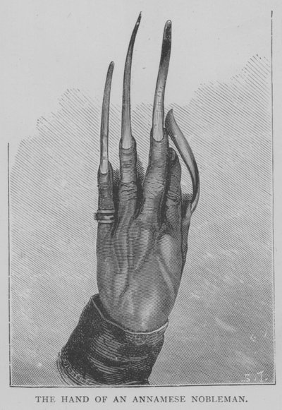 La mano di un nobile annamita da English School