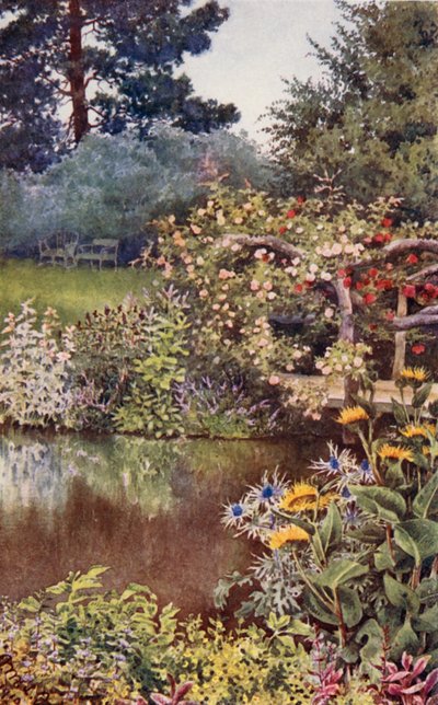 Il giardino delle erbe: Erbe lungo il fiume da English School