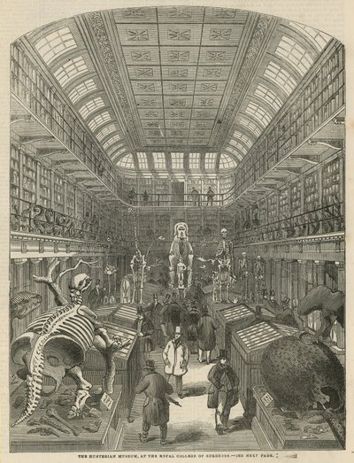 Il Museo Hunterian al Royal College of Surgeons da English School