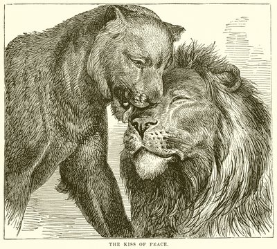 Il bacio della pace da English School
