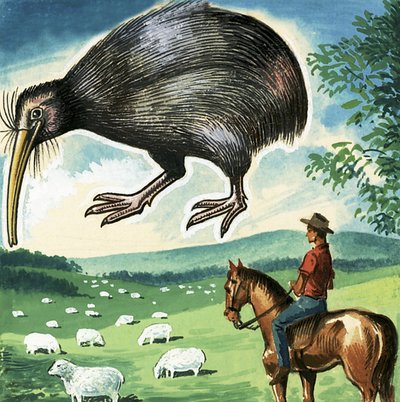 Il Kiwi, emblema della Nuova Zelanda da English School