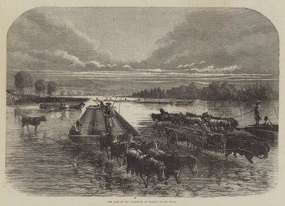 La terra dell