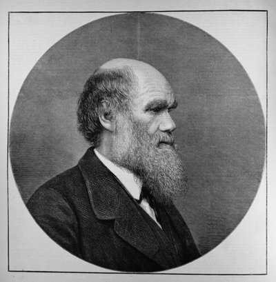 Il defunto signor C. R. Darwin, FRS, LLD, da The Illustrated London News, 29 aprile 1882 da English School