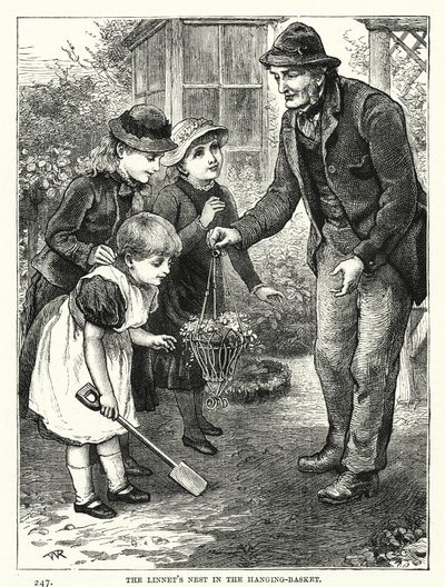 Il nido del fanello nel cesto sospeso (incisione) da English School