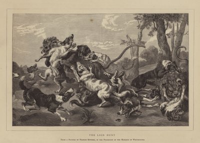 La caccia al leone (incisione) da English School