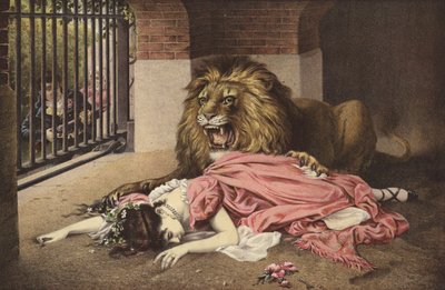 La sposa del leone da English School