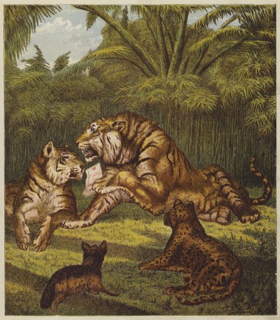 La ricezione del leone (litografia a colori) da English School