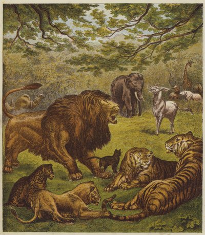 La Ricezione del Leone da English School