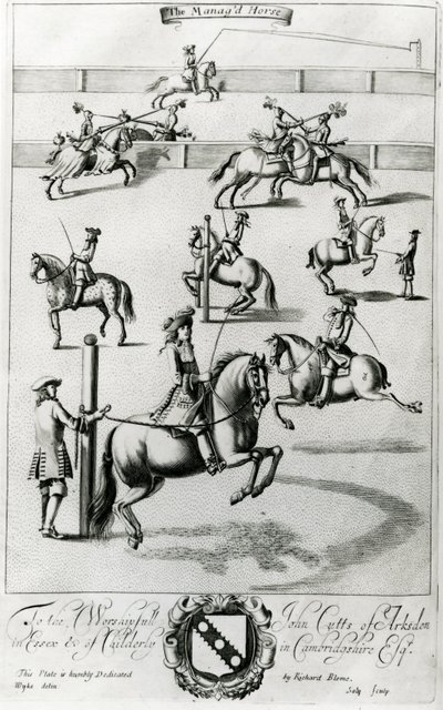 Il cavallo addestrato, da 