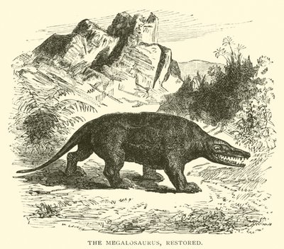 Il Megalosauro, restaurato da English School