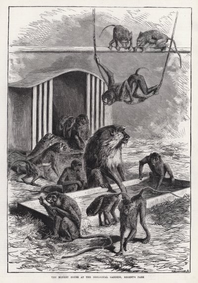 La Casa delle Scimmie ai Giardini Zoologici, Regent