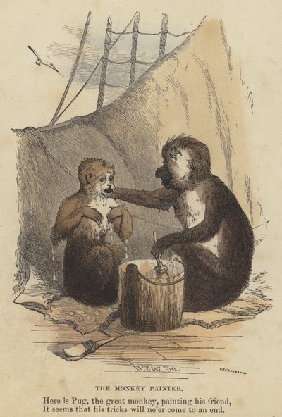 Il Pittore Scimmia (incisione colorata) da English School