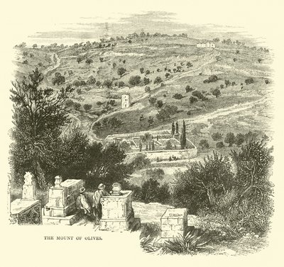 Il Monte degli Ulivi da English School