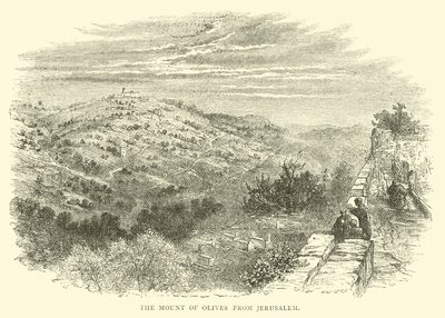 Il Monte degli Ulivi da Gerusalemme da English School
