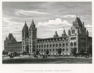 Il Museo di Storia Naturale, 1881 da English School