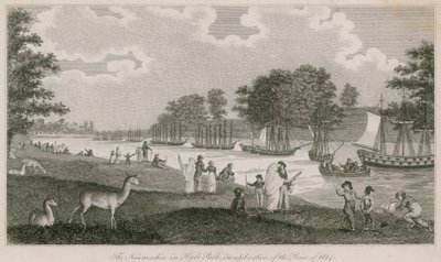 La Naumachia a Hyde Park in celebrazione della Pace del 1814 da English School