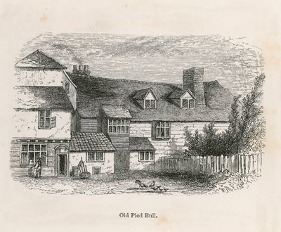Il Vecchio Pied Bull (retro) da English School