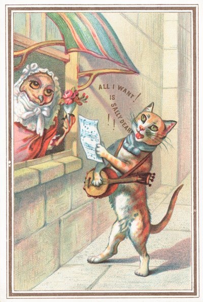 Il gufo e la gattina da English School