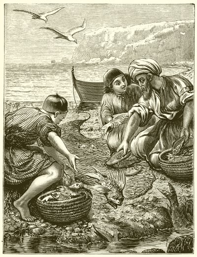La Parabola della Rete da English School