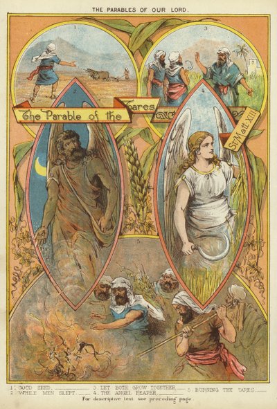 Le Parabole di Cristo: La Parabola delle Zizzanie da English School