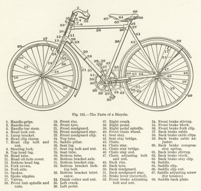 Le parti di una bicicletta da English School
