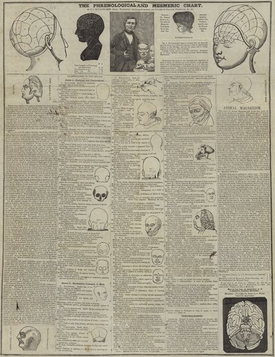 La carta frenologica e mesmerica da English School