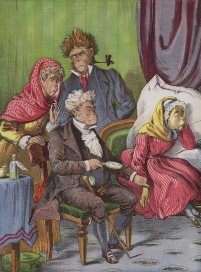 Il medico (cromolitografia) da English School