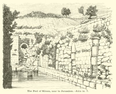 La piscina di Siloe, vicino a Gerusalemme, Giovanni, ix, 7 da English School