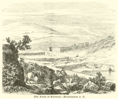 Le piscine di Salomone, Ecclesiaste, ii, 6 da English School