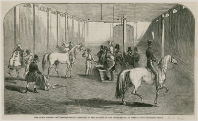 La Regina osserva i cavalli arabi presentati a Sua Maestà, nella casa di equitazione a Pimlico da English School