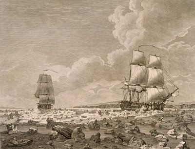 Il cavallo da corsa e la carcassa che forzano il ghiaccio, 10 agosto 1773, da Un viaggio verso il Polo Nord intrapreso per ordine di Sua Maestà 1773, pubblicato a Londra 1774 da English School