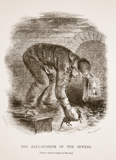 I cacciatori di ratti delle fogne, dal dagherrotipo di Richard Beard, illustrazione da London Labour and London Poor di Henry Mayhew, pub. 1862 da English School