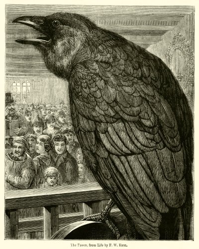 Il corvo, dal vivo da English School