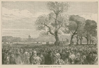 La Dimostrazione della Riforma a Hyde Park, 6 maggio 1867 da English School