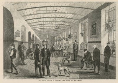 Il Royal Hospital di Bethlehem - la galleria per uomini da English School