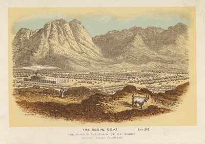 Il capro espiatorio, il campo nella pianura di Er Raheh Monte Sinai, Horeb da English School