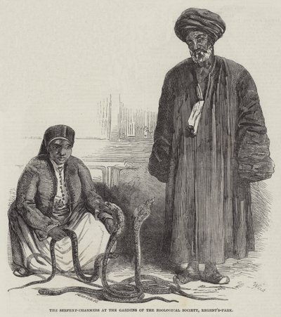 Gli incantatori di serpenti nei giardini della Società Zoologica, Regent