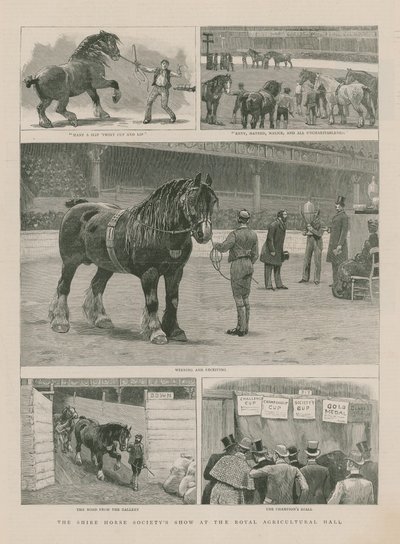 La mostra della Società del Cavallo Shire alla Sala Reale dell